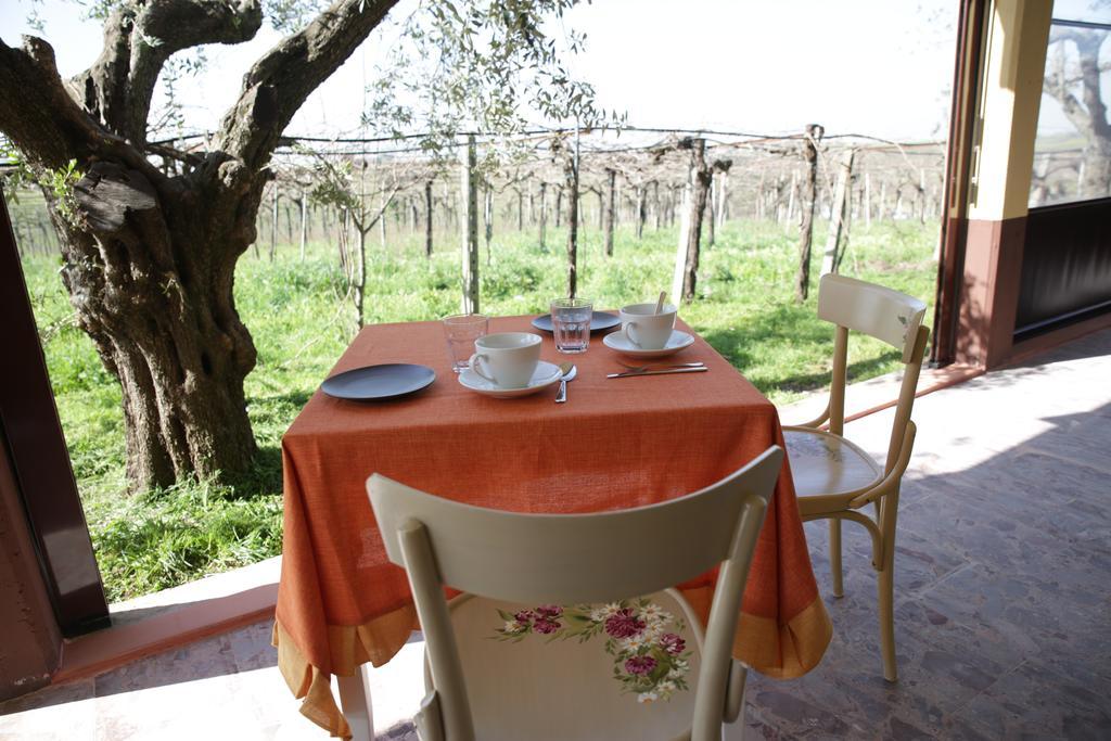 Grappoli Di Sole Villa Rome Bagian luar foto