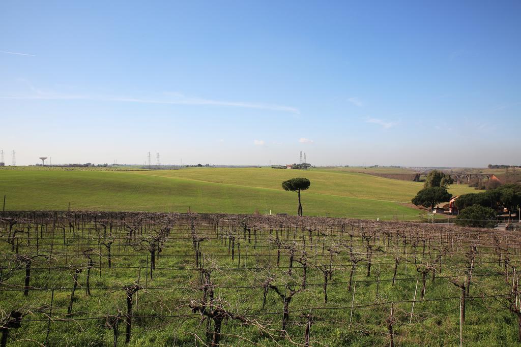 Grappoli Di Sole Villa Rome Bagian luar foto